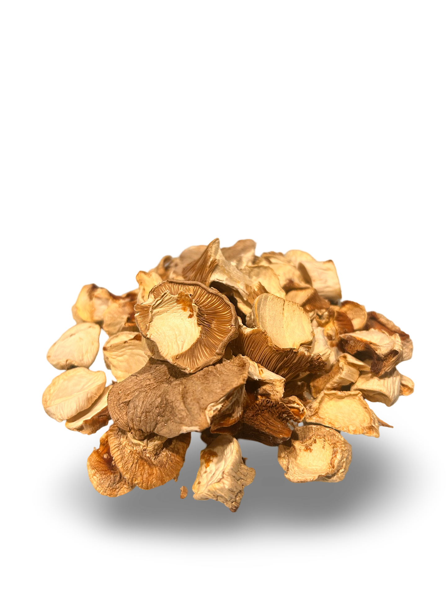Dried King Oyster Mushrooms