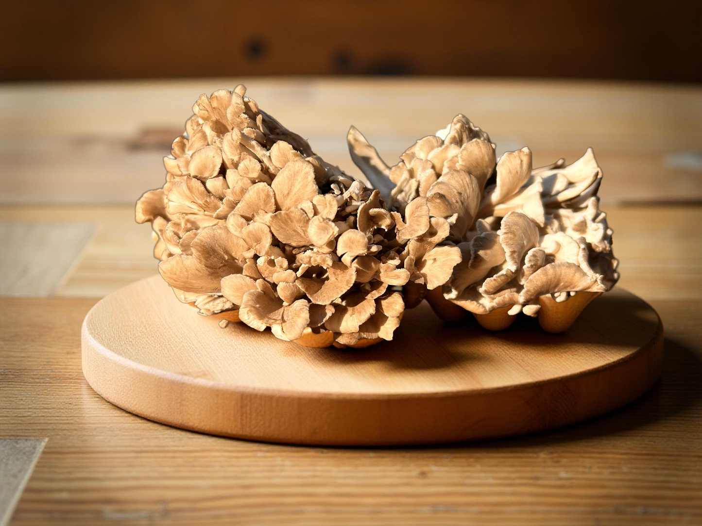 Fresh Maitake Mushrooms (1kg)