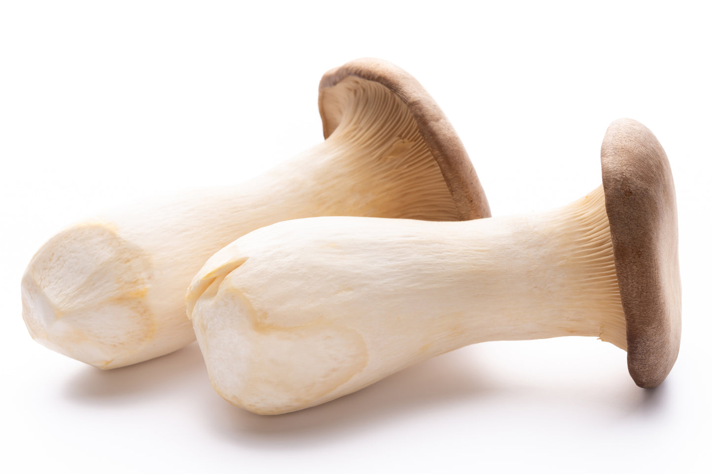 Dried King Oyster Mushrooms