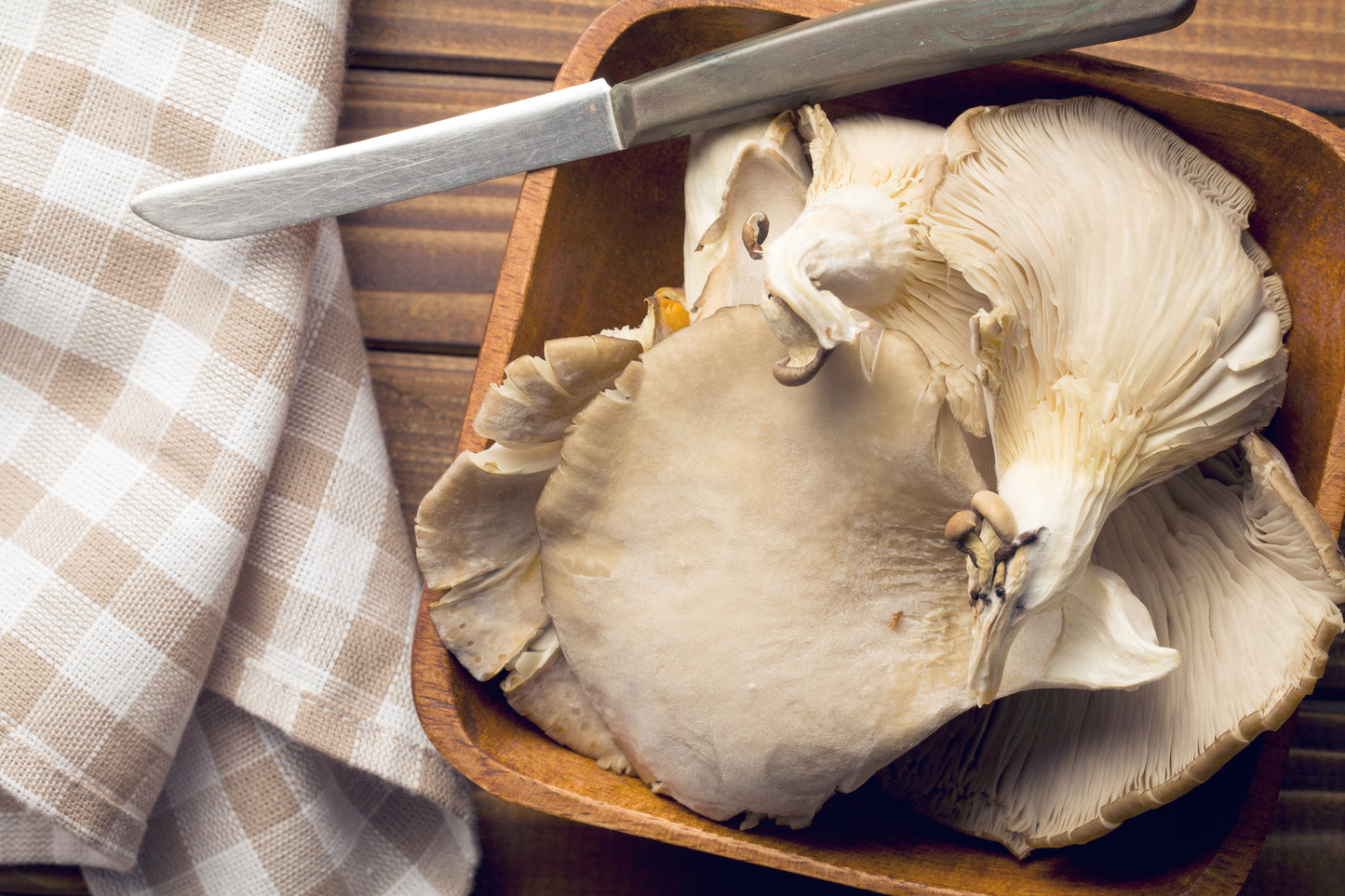 Fresh Oyster Mushrooms (1kg)