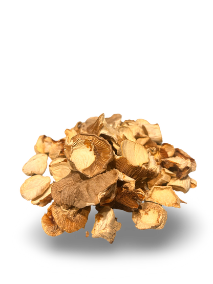Dried King Oyster Mushrooms