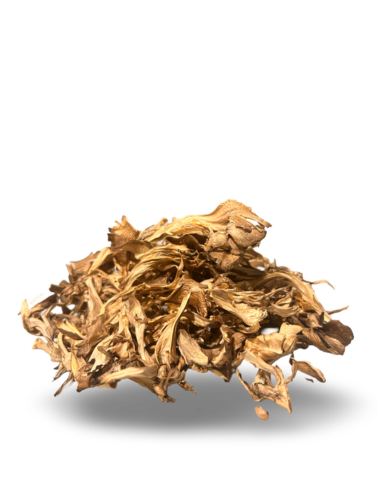 Dried Maitake Mushrooms
