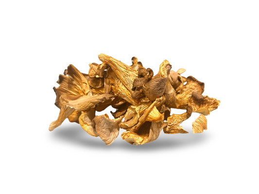 Dried Oyster Mushrooms